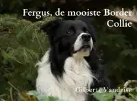 FERGUS, DE MOOISTE BORDER COLLIE