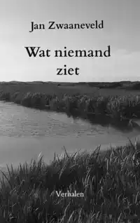 WAT NIEMAND ZIET