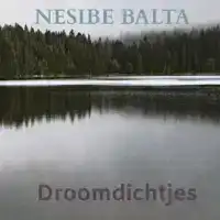 DROOMDICHTJES