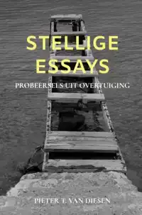 STELLIGE ESSAYS