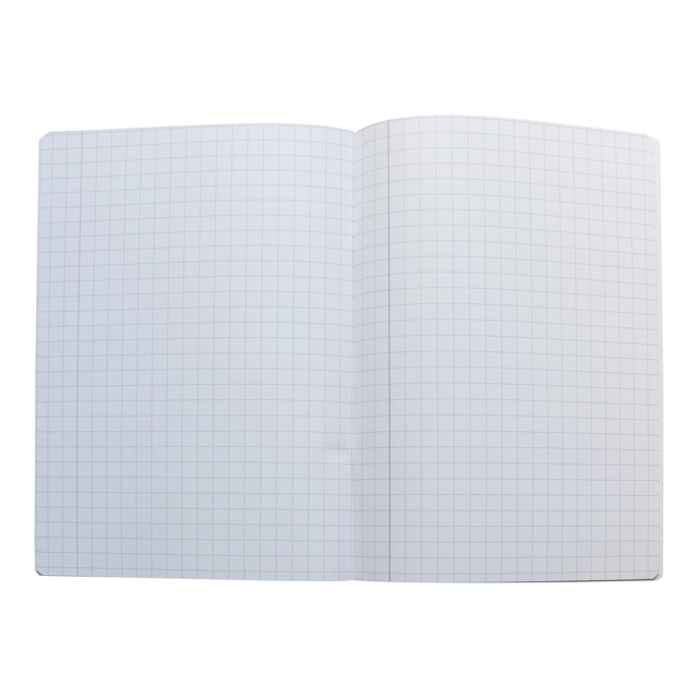 SCHRIFT OXFORD SCHOOL A4 RUIT 10X10MM