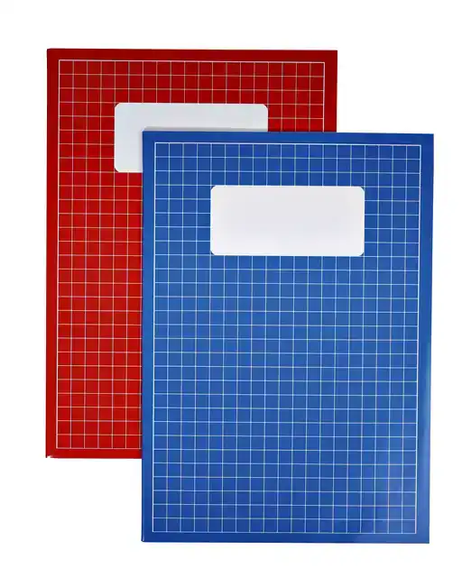 SCHRIFT QBASIC A4 RUIT 10MM 80BLZ 70GR