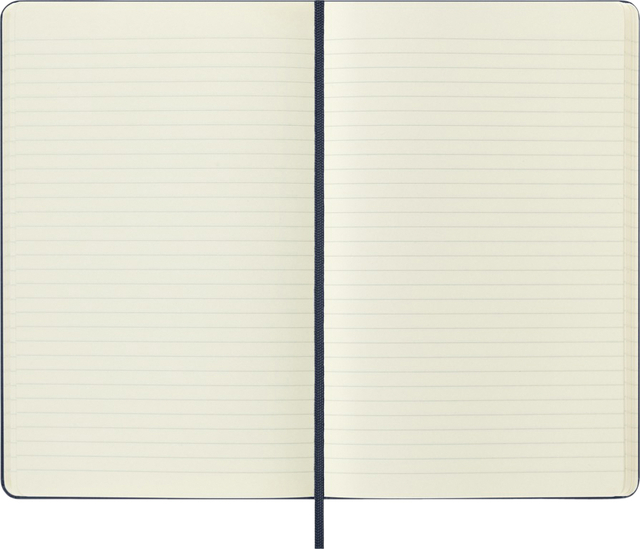NOTITIEBOEK MOLESKINE LARGE 130X210 LN