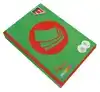 KOPIEERPAPIER QUANTORE COLOUR A4 80GR