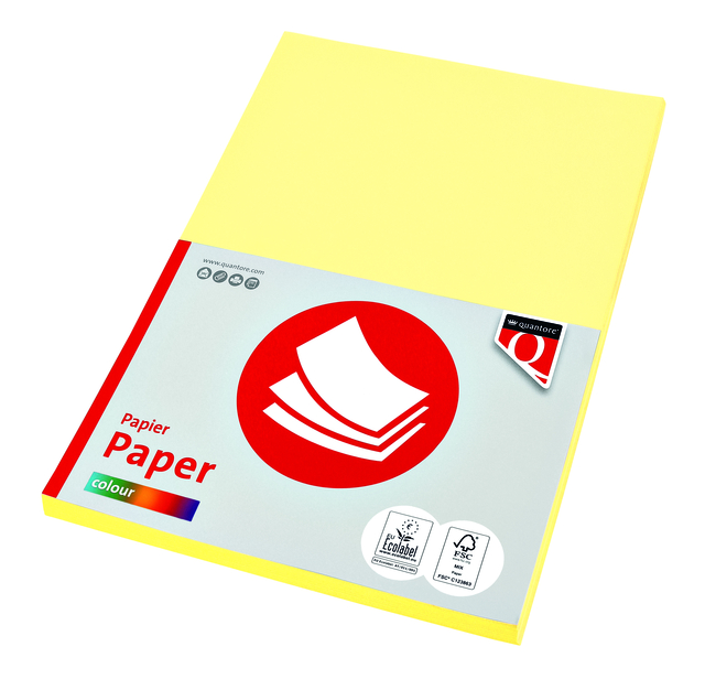 KOPIEERPAPIER QUANTORE COL-50 A4 160GR