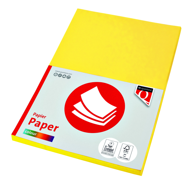 KOPIEERPAPIER QUANTORE COL-50 A4 160GR