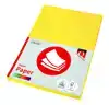 KOPIEERPAPIER QUANTORE COL-50 A4 160GR