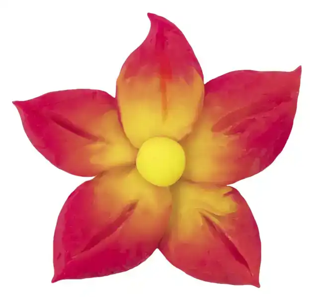 BOETSEERKLEI JOVI 15GR NEON KLEUREN