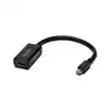 ADAPTER KENSINGTON MINI DISPLAYPORT