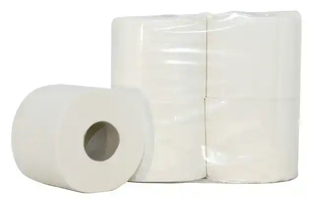 TOILETPAPIER CLEANINQ 2-LAAGSÂ 400VEL