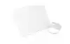 POLSBAND COLOP EMARK 250X19MM 100 STUKS