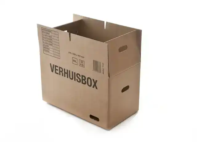 VERHUISDOOS IEZZY 370X650X350