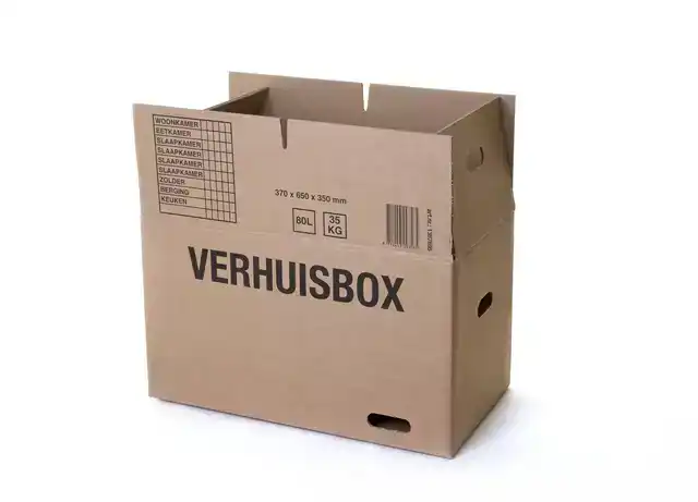 VERHUISDOOS IEZZY 370X650X350