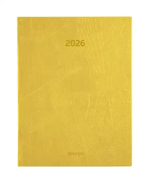 AGENDA 2027 BREPOLS OPTIVISION LUCCA