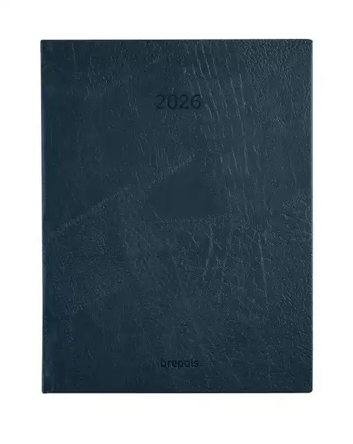 AGENDA 2027 BREPOLS OPTIVISION LUCCA
