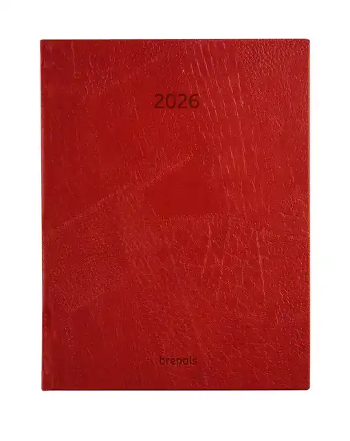 AGENDA 2027 BREPOLS OPTIVISION LUCCA