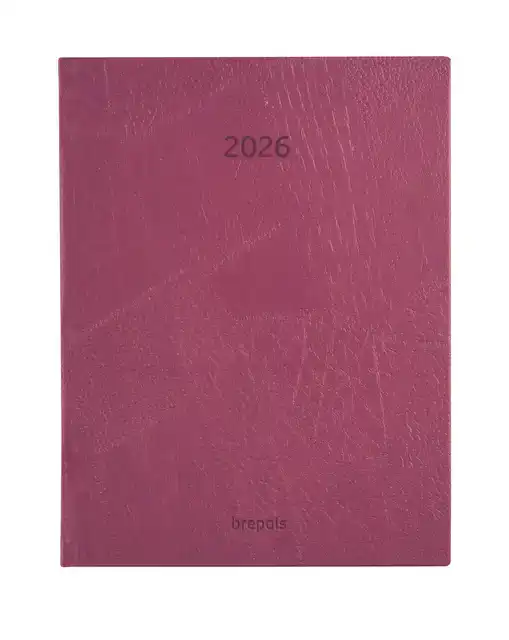 AGENDA  BREPOLS OPTIVISION LUCCA 2025