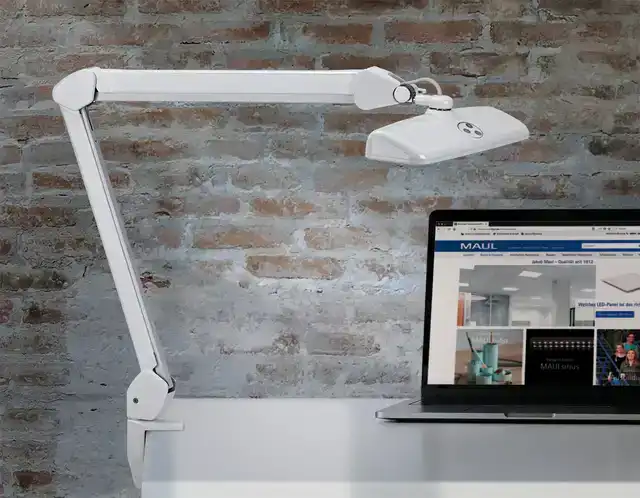 WERKPLEKLAMP MAUL INTRO LED TAFELKLEM