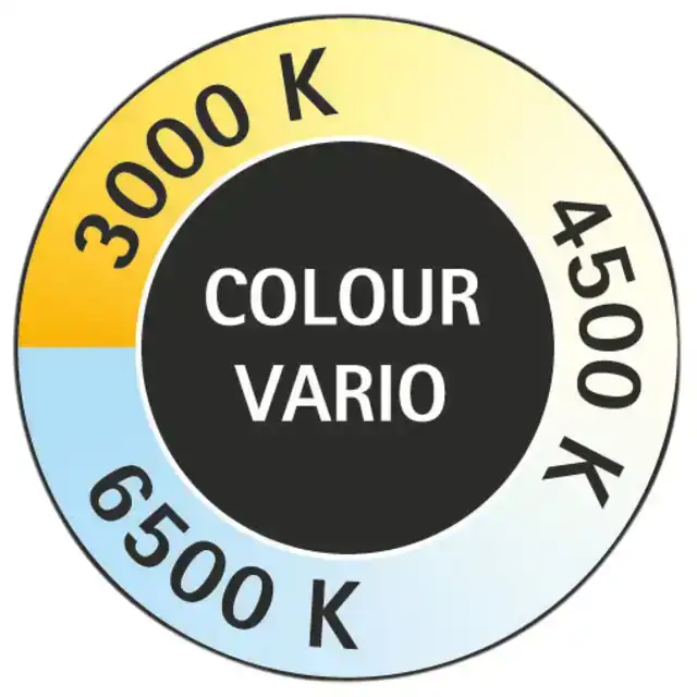 BUREAULAMP MAUL GRACE LED COLOUR VARIO