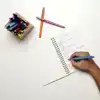 FINELINER PAPERMATE FLAIR METALLIC M
