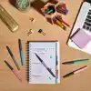 FINELINER PAPERMATE FLAIR METALLIC M