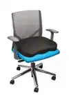 STOELKUSSEN KENSINGTON ERGONOMISCH MET