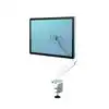 MONITORARM FELLOWES PLATINUM SERIE