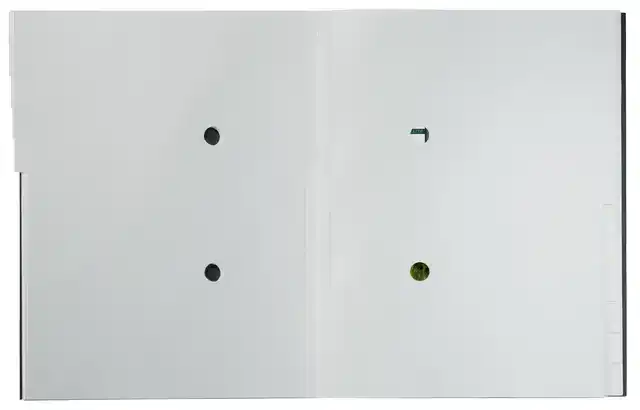 SORTEERMAP LEITZ RECYCLE 12-TABS ZWART