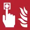 PICTOGRAM DJOIS BRANDMELDER 200X200MM
