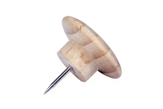 PUSH PINS LEGAMASTER HOUT 25 STUKS