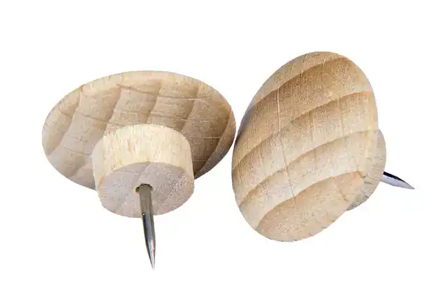 PUSH PINS LEGAMASTER HOUT 25 STUKS