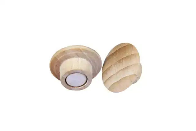 MAGNEET LEGAMASTER HOUT 5 STUKS