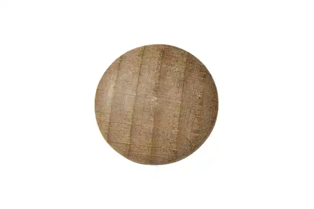 MAGNEET LEGAMASTER HOUT 5 STUKS