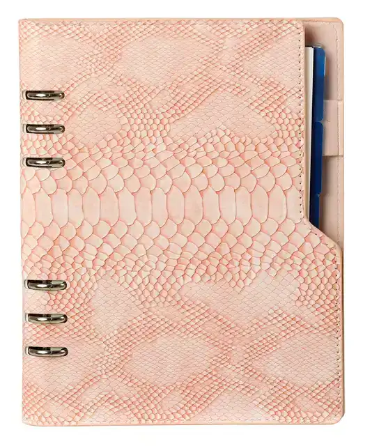 ORGANIZER KALPA A5 + AG25-26 7D/2P