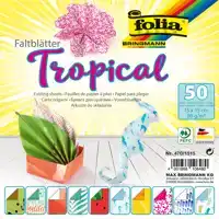 VOUWBLAADJES FOLIA 80GR 15X15CM 50V 2Z