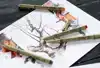FINELINER SAKURA X VAN GOGH MUSEUM SET