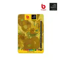 KLEURPOTLOOD BRUYNZEEL X VAN GOGH