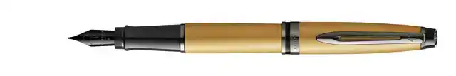 VULPEN WATERMAN EXPERT RT F METALLIC