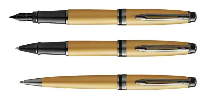 VULPEN WATERMAN EXPERT RT F METALLIC
