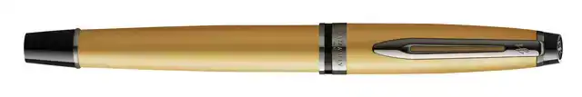 VULPEN WATERMAN EXPERT RT F METALLIC