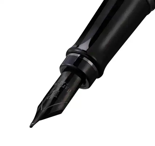 VULPEN WATERMAN EXPERT RT F METALLIC