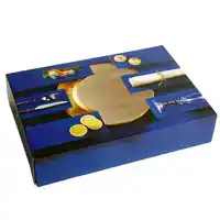 CATERINGDOOS IEZZY 55.7X37.6X8CM BLAUW