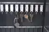 SLEUTELLABEL PAVO MAGNETISCH ASSORTI