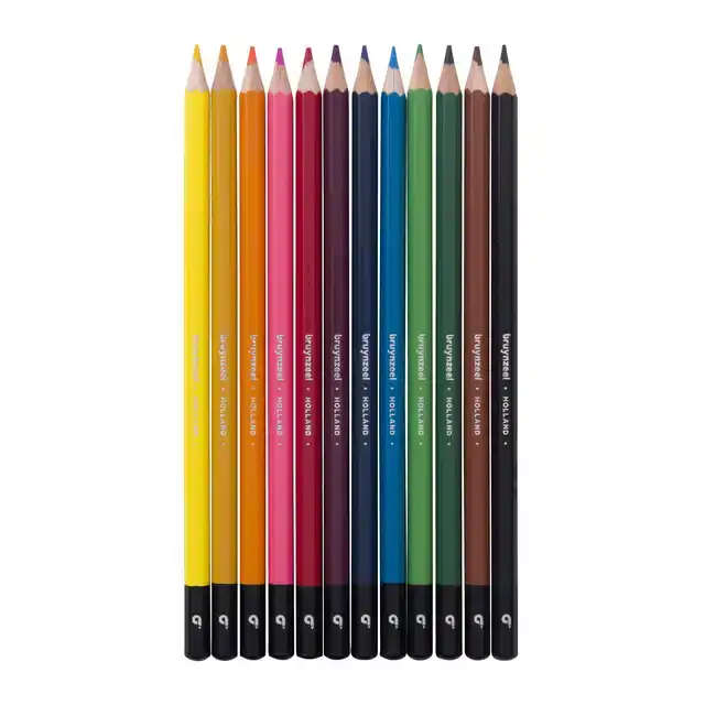 KLEURPOTLOOD BRUYNZEEL 12 STUKS