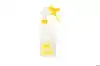 SPRAYFLACON COMPLEET 600ML KEUKEN