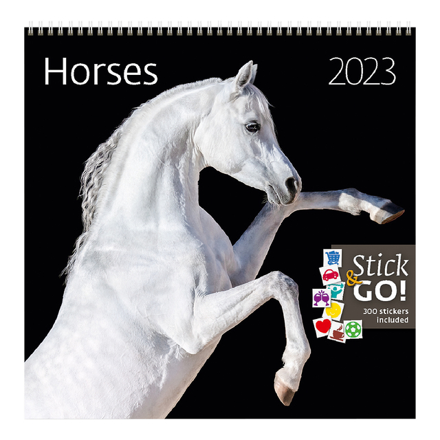 KALENDER 2025 30X30CM PAARDEN