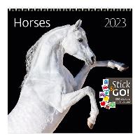 KALENDER 2026 30X30CM PAARDEN