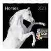 KALENDER 2026 30X30CM PAARDEN
