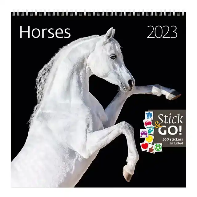 KALENDER 2026 30X30CM PAARDEN