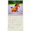 KALENDER 2026 30X30CM PAARDEN